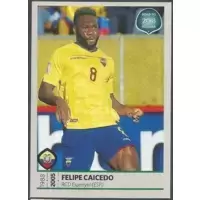 Felipe Caicedo - Equateur