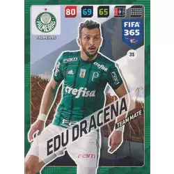 Edu Dracena - Palmeiras