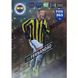 Fernandão - Fenerbahçe SK