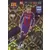 Gerard Piqué - FC Barcelona