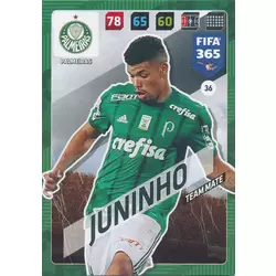 Juninho - Palmeiras