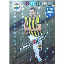 Mehmet Topal - Fenerbahçe SK