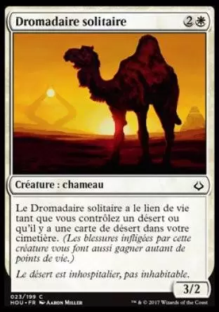 L\'Âge de la Destruction - Dromadaire solitaire