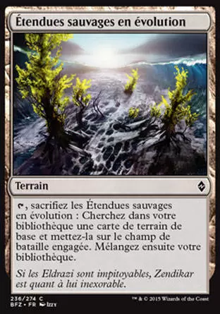 La Bataille de Zendikar - Étendues sauvages en évolution