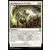 Les Dragons de Tarkir - Bénédiction de l\'Écaille