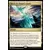 Havre du dragon-esprit