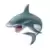 Sharks & Co - Great White shark