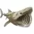 Peregrine Shark