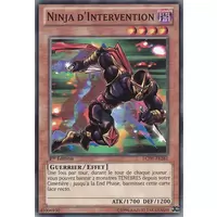 Ninja d'Intervention