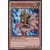Paladin Amazonesse