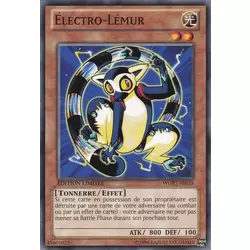 Électro-Lémur