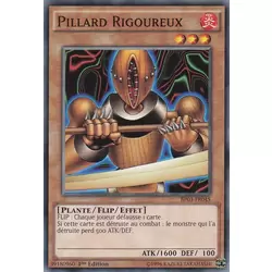 Pillard Rigoureux