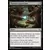 Obscure transaction