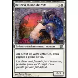 Bélier à toison de Nyx