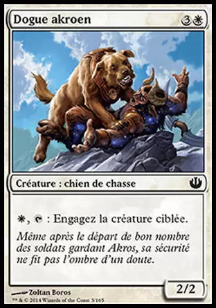 Incursion dans Nyx - Dogue akroen