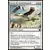 Incursion dans Nyx - Grues de ravitaillement