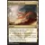 Khans de Tarkir - Avant-poste nomade