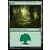 Forêt