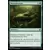 Khans de Tarkir - Naturalisation