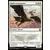 Rokh compagnon