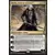 Sorin, visiteur solennel