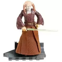 Saesee Tiin (Jedi Master)