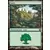 Forêt