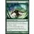 Invocation sauvage