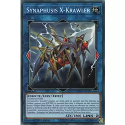Synaphusis X-Krawler