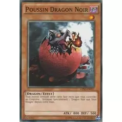 Poussin Dragon Noir