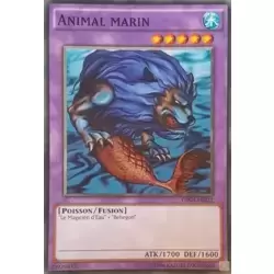 Animal marin