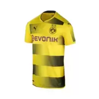 Borussia Dortmund Domicile 2017/2018
