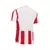 Maillot de football - Stoke City Domicile 2017/2018