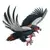 Faucons & Co. Maxi Edition - Bateleur des savanes