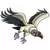 Vautour royal