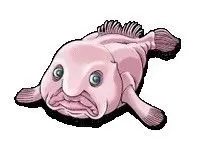 Monstres des mers & Co. - Blobfish