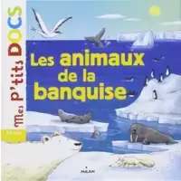 Les animaux de la banquise