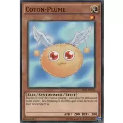 Coton-Plume