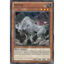 Hyène