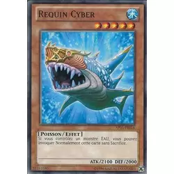 Requin Cyber