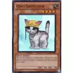 Chat Sauveteur
