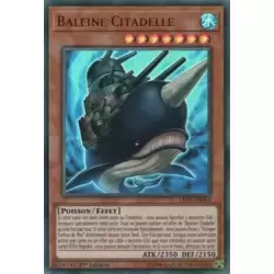 Baleine Citadelle