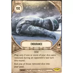 Endurance
