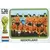 Team Olanda - Holland