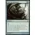 Cosse de gestation