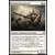 Paladin de puracier
