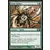 Araignée géante