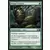 Cocon primordial