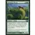 2011 Core Set (M11) - Guivre de la Yavimaya