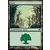Forêt